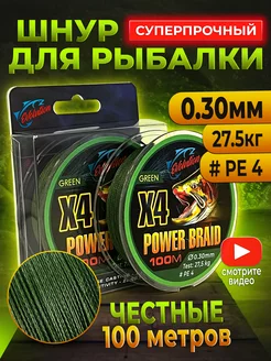 Плетенка для рыбалки 100м 0.30 мм #PE 4 EVOLUTION 173514060 купить за 289 ₽ в интернет‑магазине Wildberries
