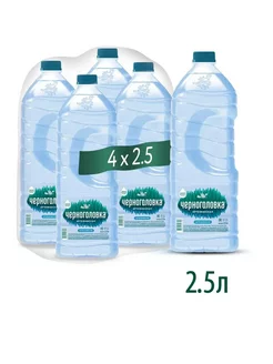 Вода питьевая Черноголовка 2,5л.(4 шт) Черноголовская 224646111 купить за 751 ₽ в интернет‑магазине Wildberries